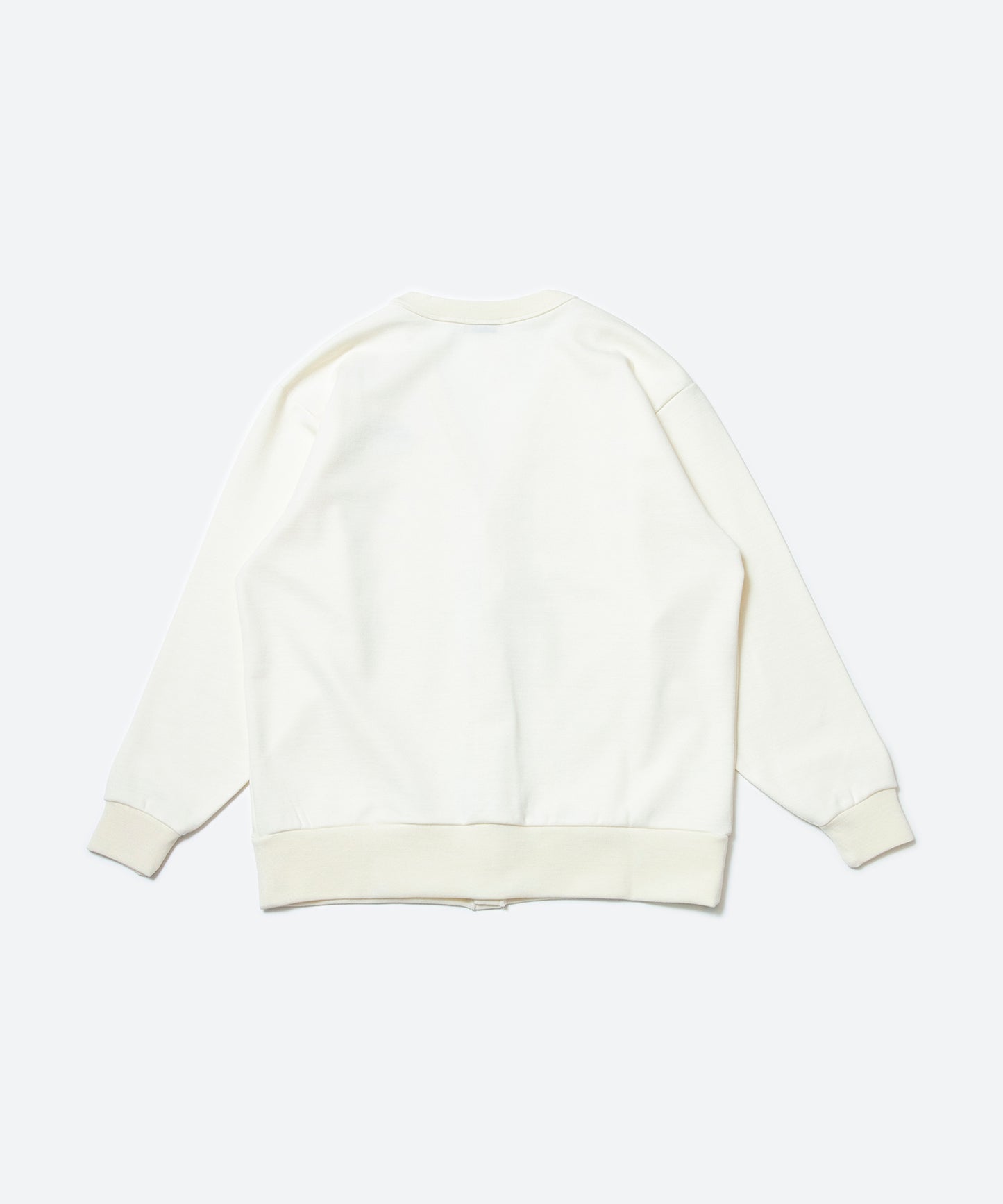 AW Punch V- Neck C/N