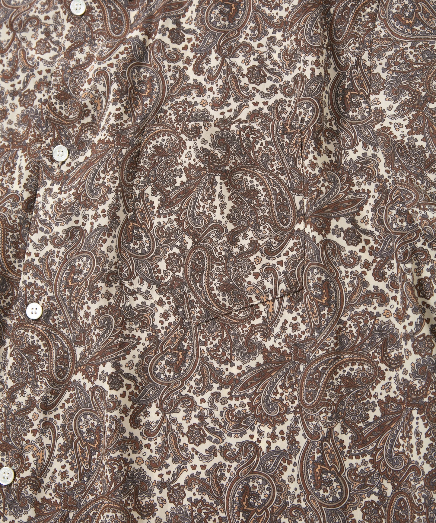 Paisley Printed Short Sleeve Shirt